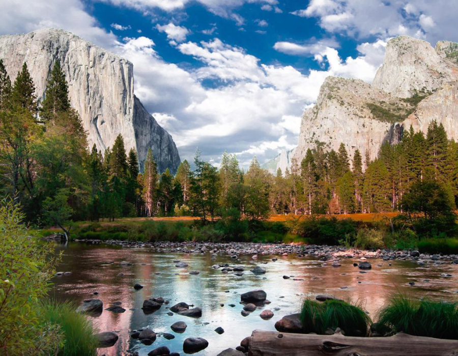 Parco Yosemite in California